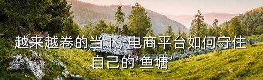 越来越卷的当下, 电商平台如何守住自己的‘鱼塘’