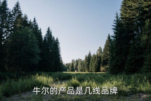牛尔护肤怎么样,牛尔茶树怎么样?