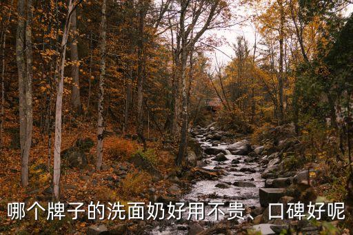 哪个牌子的洗面奶好用不贵、口碑好呢