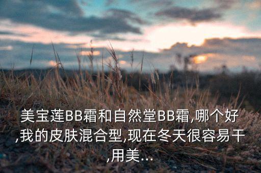 美宝莲BB霜和自然堂BB霜,哪个好,我的皮肤混合型,现在冬天很容易干,用美...