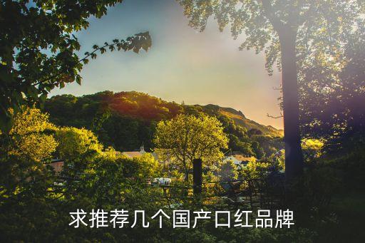 求推荐几个国产口红品牌
