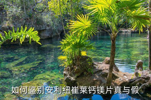 安利钙镁片是什么味的,为什么汤臣倍健钙镁片不甜？