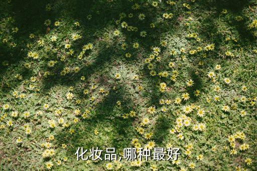 化妆品,哪种最好