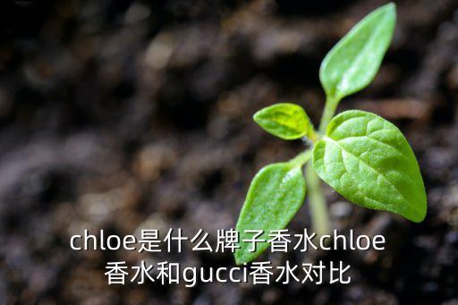 chloe是什么牌子香水chloe香水和gucci香水对比