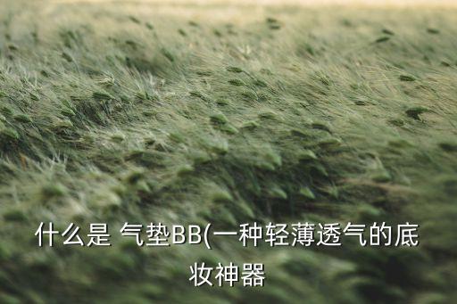 什么是 气垫BB(一种轻薄透气的底妆神器