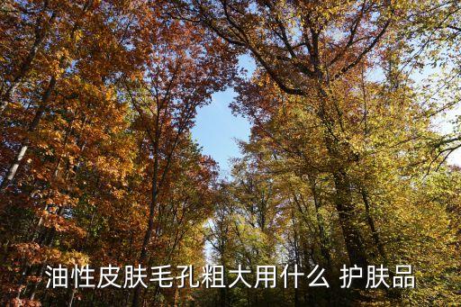 油性皮肤毛孔粗大用什么 护肤品