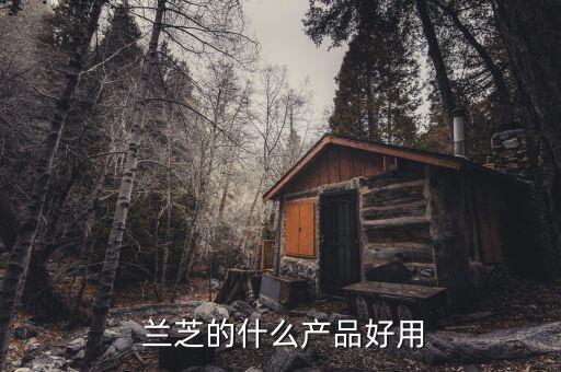  兰芝的什么产品好用