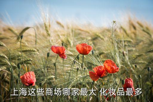 上海这些商场哪家最大 化妆品最多