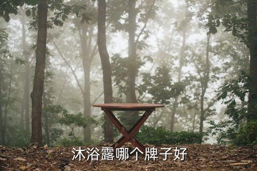  沐浴露哪个牌子好