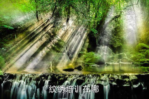 纹绣培训在哪