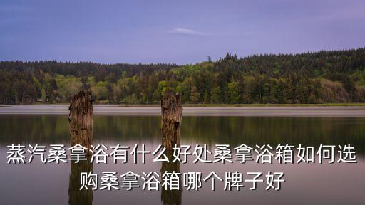 蒸汽桑拿浴有什么好处桑拿浴箱如何选购桑拿浴箱哪个牌子好