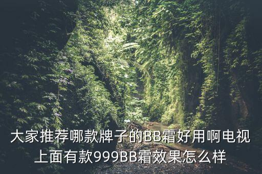 大家推荐哪款牌子的BB霜好用啊电视上面有款999BB霜效果怎么样
