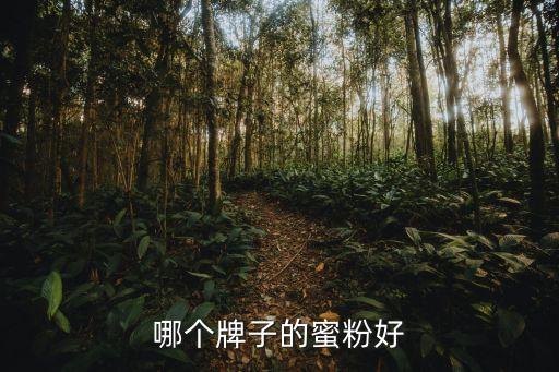 哪个牌子的蜜粉好