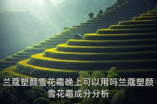 兰蔻塑颜雪花霜晚上可以用吗兰蔻塑颜雪花霜成分分析