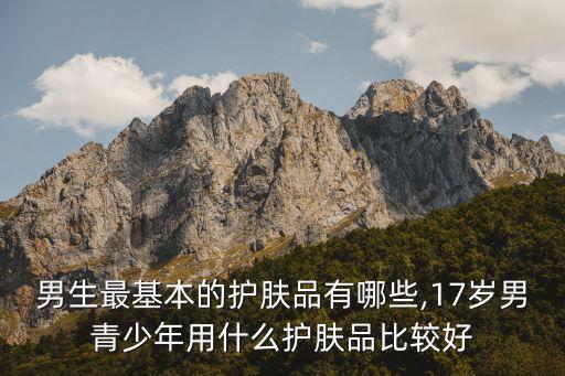 男生最基本的护肤品有哪些,17岁男青少年用什么护肤品比较好