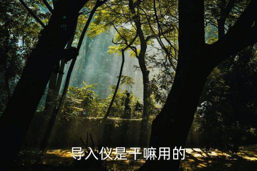 导入仪是干嘛用的