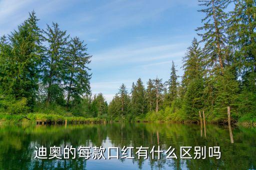 迪奥的每款口红有什么区别吗