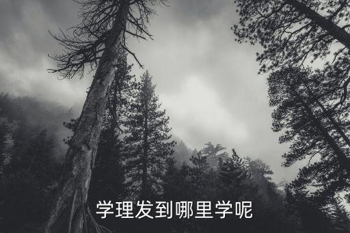 佛山哪里有学美容美发,佛山学美容美发培训班