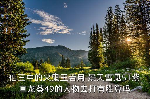 仙三中的火鬼王若用 景天雪见51紫宣龙葵49的人物去打有胜算吗