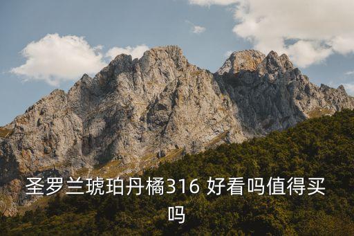圣罗兰琥珀丹橘316 好看吗值得买吗