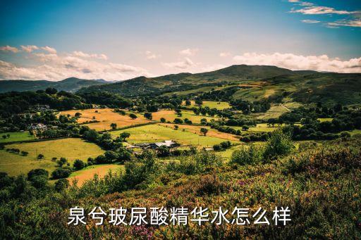 泉兮玻尿酸精华水怎么样