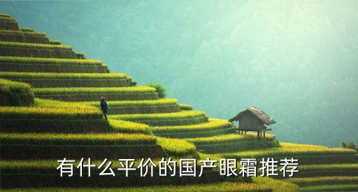 有什么平价的国产眼霜推荐