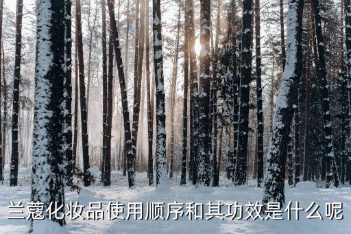 兰蔻化妆品使用顺序和其功效是什么呢