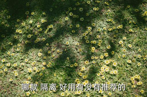 兰芝防晒霜隔离霜哪个好用,兰芝和安热沙防晒霜哪个好