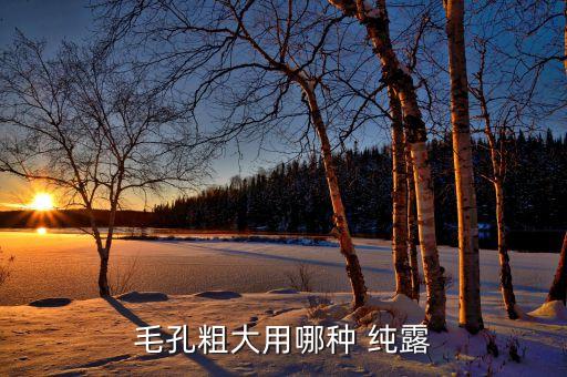 毛孔粗大用哪种 纯露