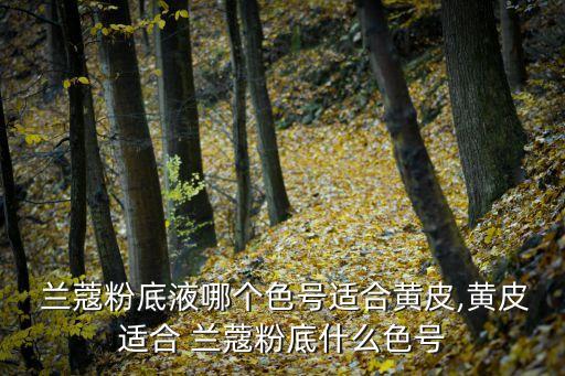  兰蔻粉底液哪个色号适合黄皮,黄皮适合 兰蔻粉底什么色号