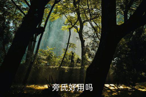 旁氏好用吗