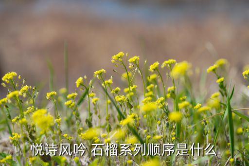 悦诗风吟 石榴系列顺序是什么