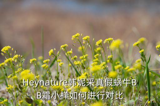 韩国蜗牛bb霜怎么样,兰瑟蜗牛bb霜怎么样？