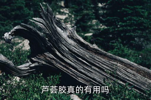 泉之净芦荟修护胶怎么样,泉熙芦荟胶是真的吗？