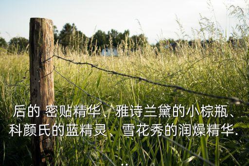后的 密贴精华、雅诗兰黛的小棕瓶、科颜氏的蓝精灵、雪花秀的润燥精华...