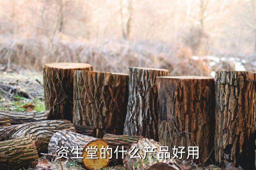 资生堂的什么产品好用