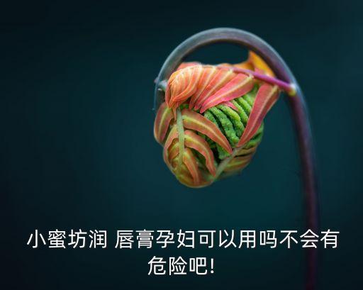  小蜜坊润 唇膏孕妇可以用吗不会有危险吧!