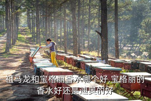 祖马龙和宝格丽香水哪个好,宝格丽的香水好还是迪奥的好