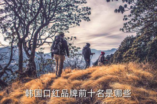 爱丽的口红怎么样,韩国什么牌子的口红好?