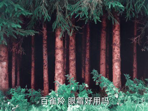 百雀羚水眼霜怎么样