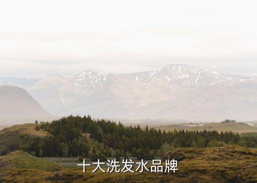 十大洗发水品牌