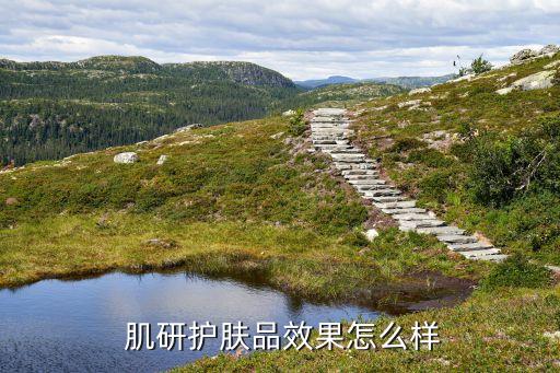  肌研护肤品效果怎么样