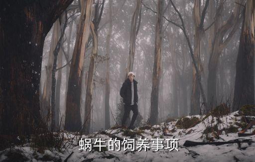  蜗牛的饲养事项