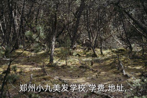 郑州小九美发学校,学费,地址,