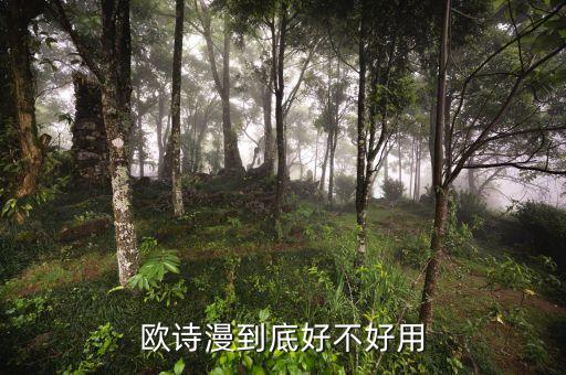 欧诗漫到底好不好用
