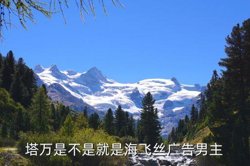 塔万是不是就是海飞丝广告男主