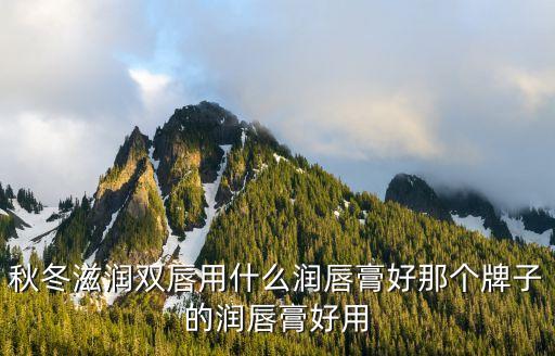 秋冬滋润双唇用什么润唇膏好那个牌子的润唇膏好用