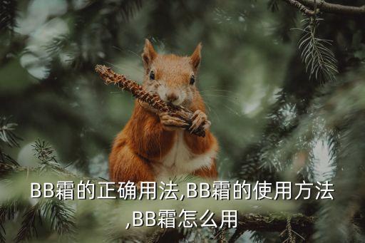 BB霜的正确用法,BB霜的使用方法,BB霜怎么用