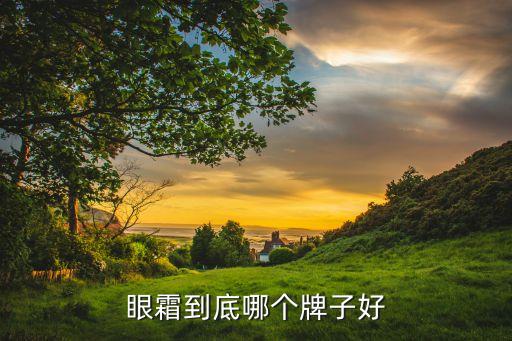 什么牌子眼部精华好用吗,什么牌子的眼霜和cpb眼部精华好?