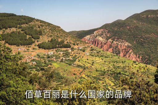 佰草百丽是什么国家的品牌
